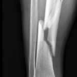 f2b890a458657dfbc19392abe6880c38