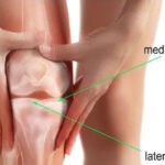 Untitled-132434tr43t5gtghtrhg