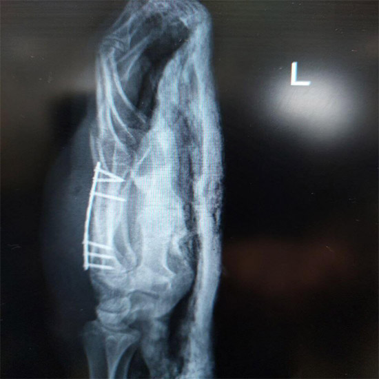 Untitlقذض3لذ3ل3ل3ed-1